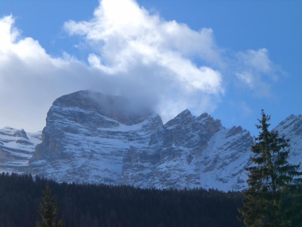 Hotel Villa Ines Borca di Cadore Exterior foto